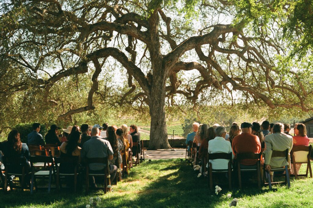 wine country wedding ceremony