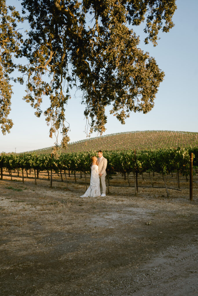 wine country wedding couple's photos