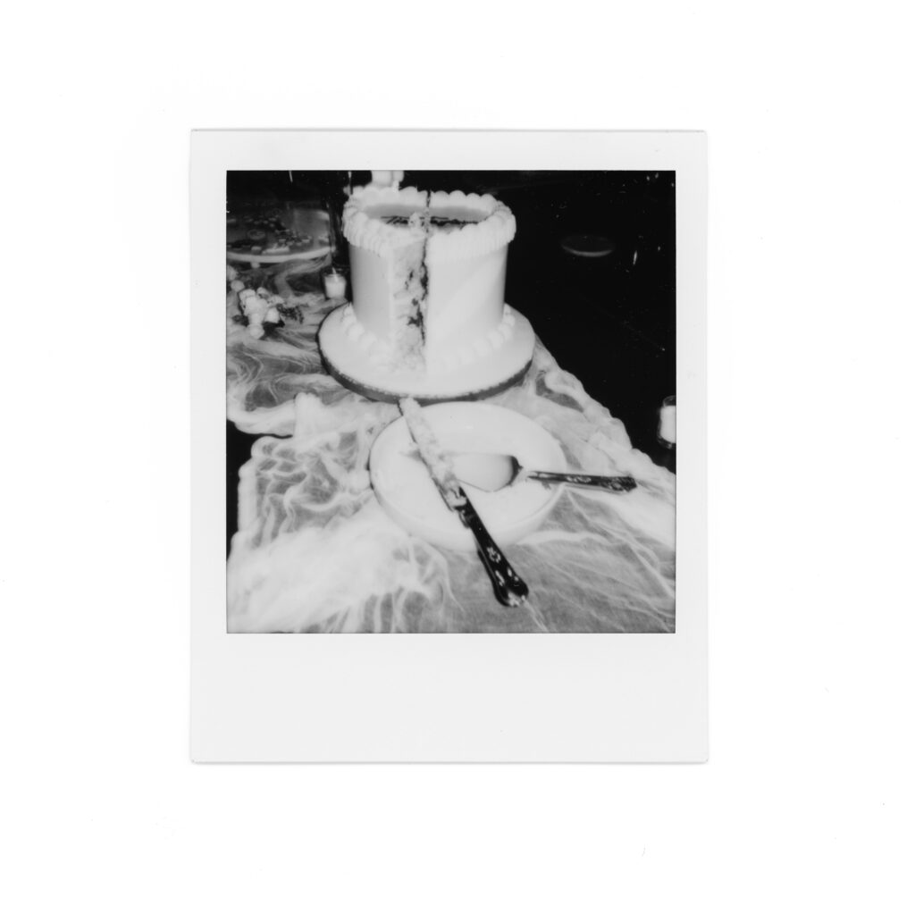 Polaroid of wedding cake